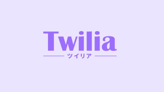 Twilia（ツイリア）を使ったコンサルにも対応しています