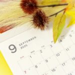 9月の一歩が2026年を変える！アフィリエイト再挑戦のすすめ